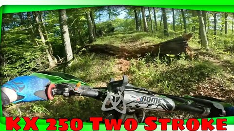 Checking the trails after spring storms | RARE Kawasaki 2 Strokes