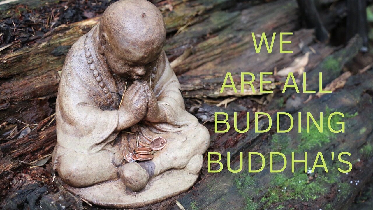 Jared Rand’s Global Guided Meditation Call ~ 11-14-2022 # 1886