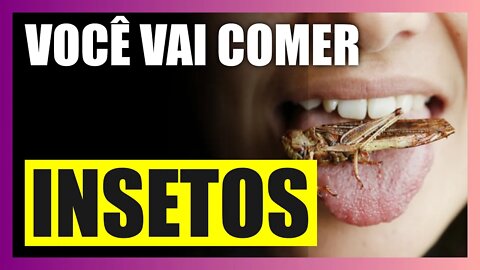 Os ambientalistas querem que você coma INSETOS