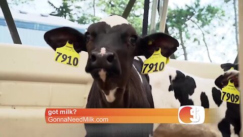 Dairy Farmer explains how milk is positively impacting people, animals and the planet!