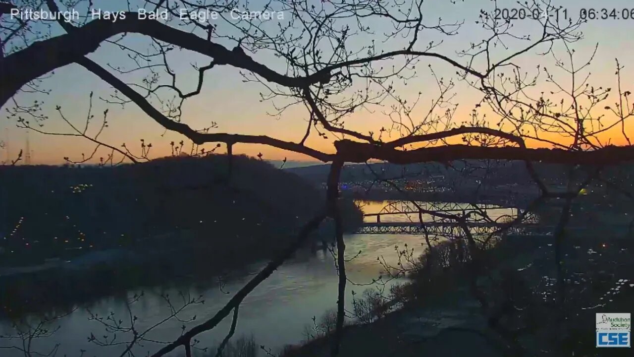 HaysEagles sleeping Eaglets and a beautiful sunrise 2020 04 11 632am