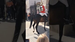 kings guards Horse freaking out #horseguardsparade