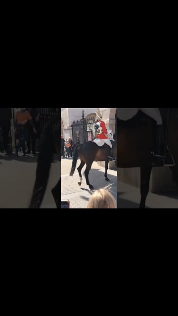 kings guards Horse freaking out #horseguardsparade