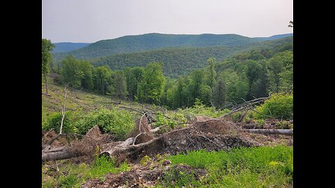My turkey hunting and PA wild trout streams.
