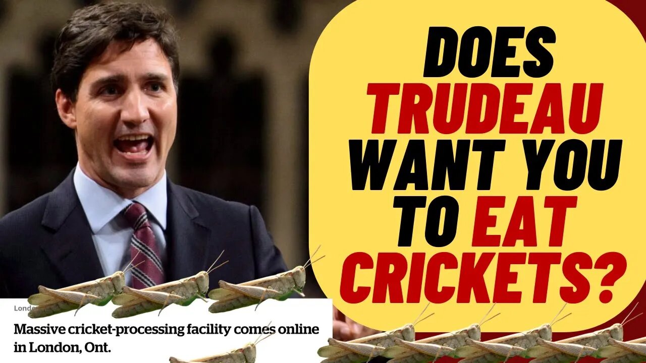 Does Trudeau Want You To Eat Crickets?