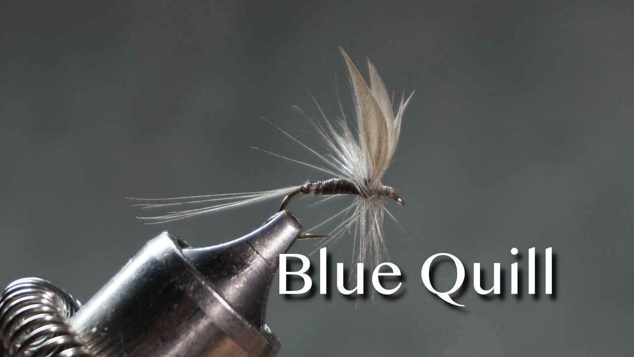 Blue Quill