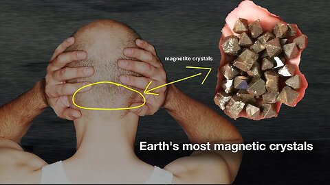 They Found Crystals In Human Brains: "They Decode All The Frequencies