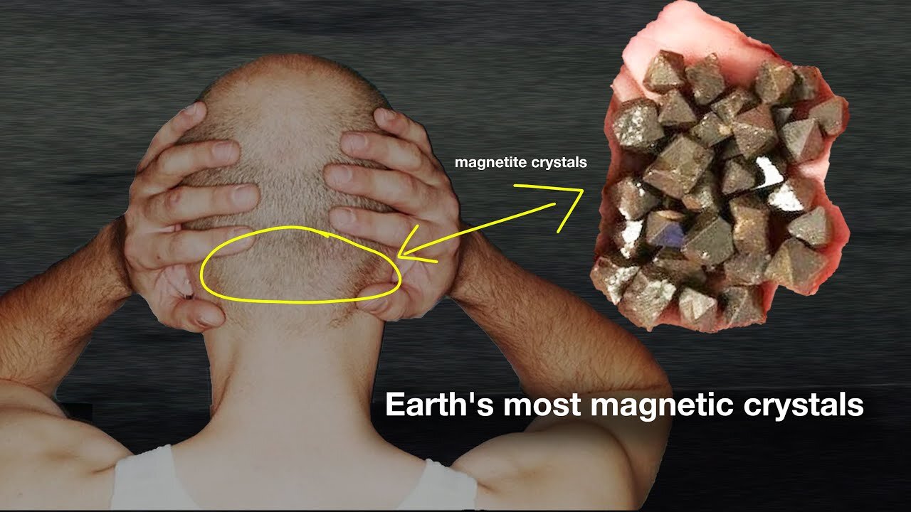 They Found Crystals In Human Brains: "They Decode All The Frequencies