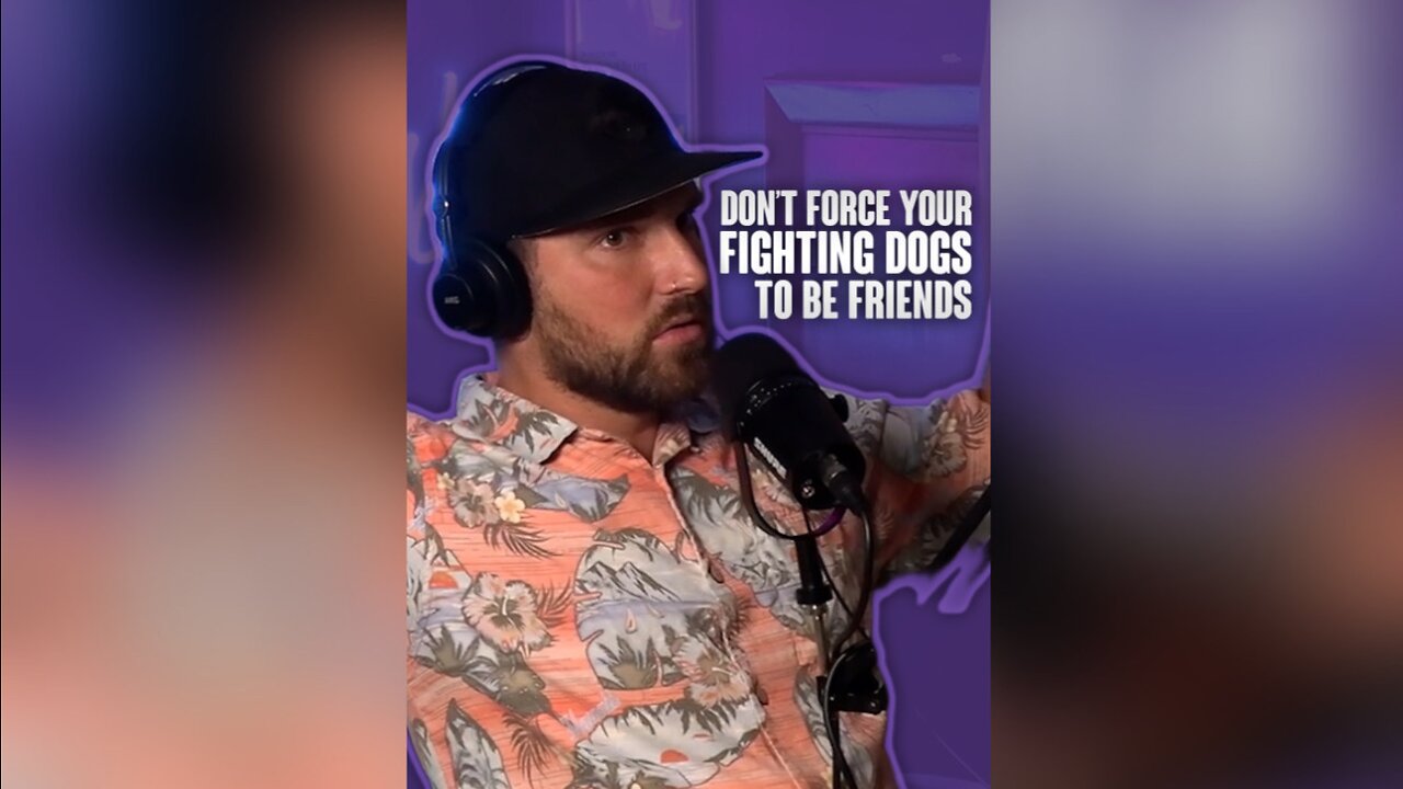 Don’t force your fighting dogs to be friends