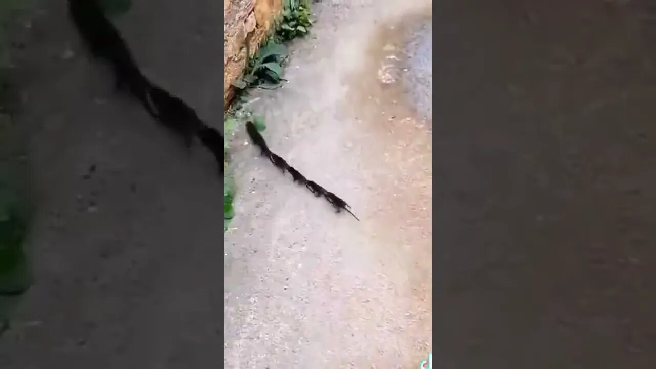 World best cue 🤣🤣🤣