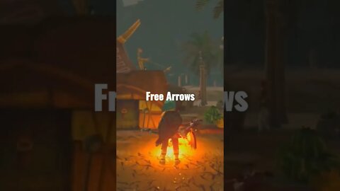 BOTW Free arrow trick