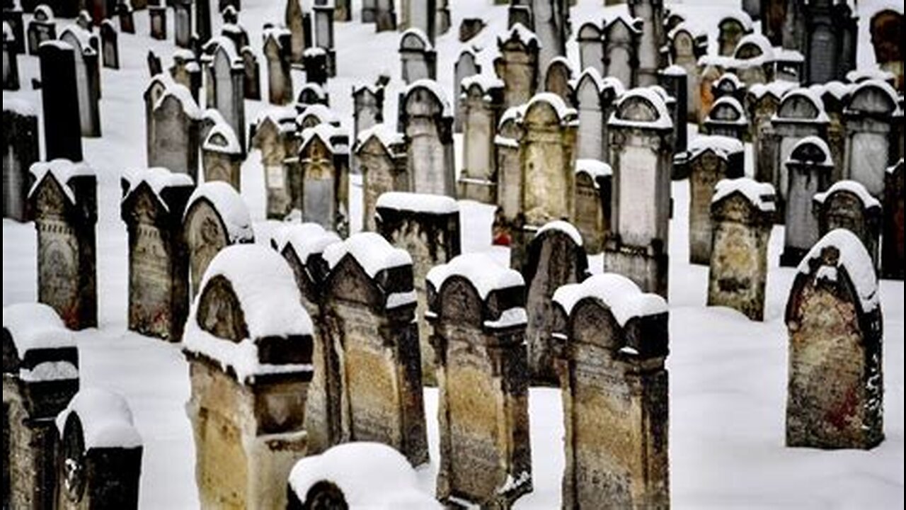 HOLOCAUSTO SILENCIOSO