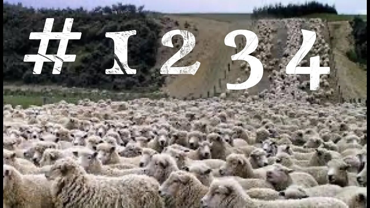 "Counting Sheep" Ep 07