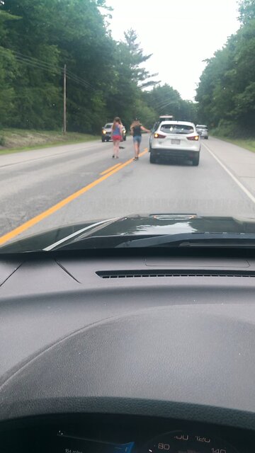 Saving A Huge Snapping Turtle From the Road!