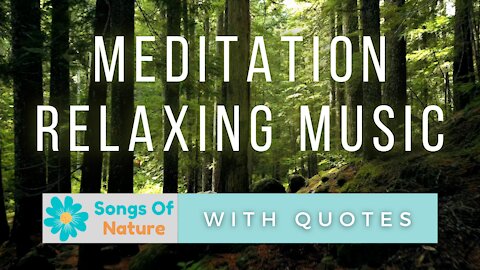 Meditation Music, Relaxing, Stress Relief Music with Quotes 🌿Soothing🌿 3 Hours