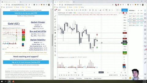 AutoUFOs 3-D Market Commentary (Bojan Petreski) 2021 Feb-24