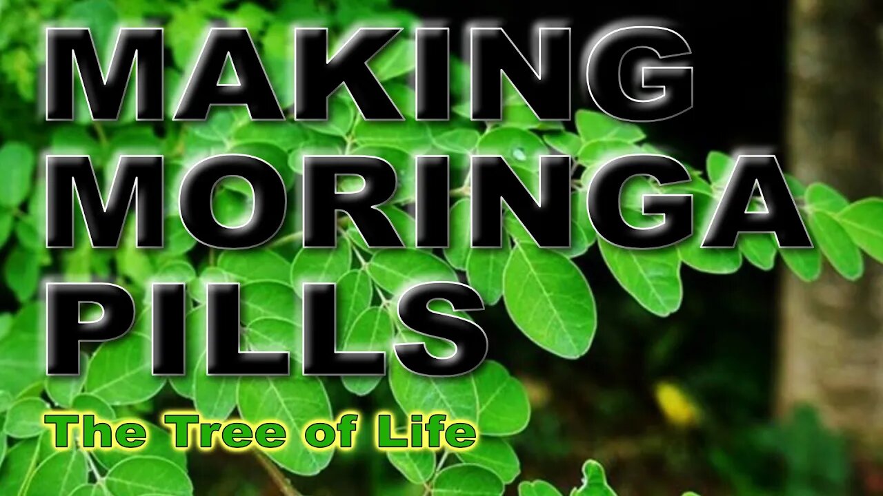 Making Moringa Pills