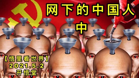 KWT1628(中) 网下的中国人20210502-3【悟里看世界】