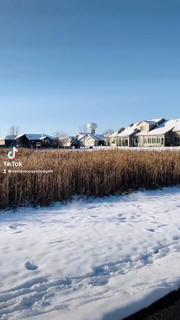 #streamofconsciousness #tamararoseblodgett