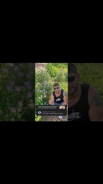 Viewer Comment: Cold hardy in Alaska please, not Florida