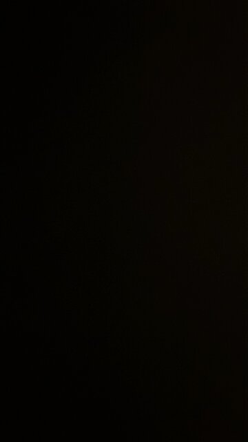 Fecal sample number 2