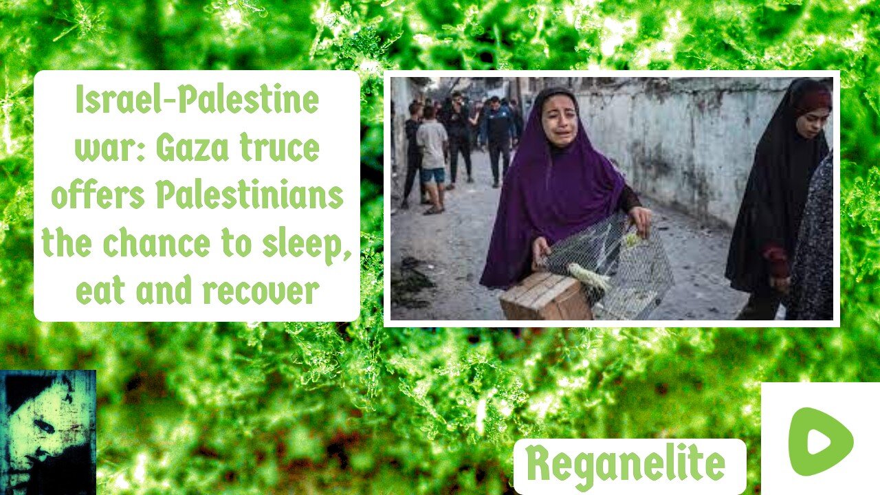 Israel-Palestine war Gaza truce offers Palestinians the chance to sleep, eat and recover