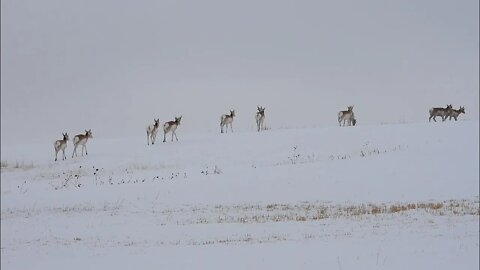 Day 11 Of The Wyoming/Nebraska Global Warming Crisis