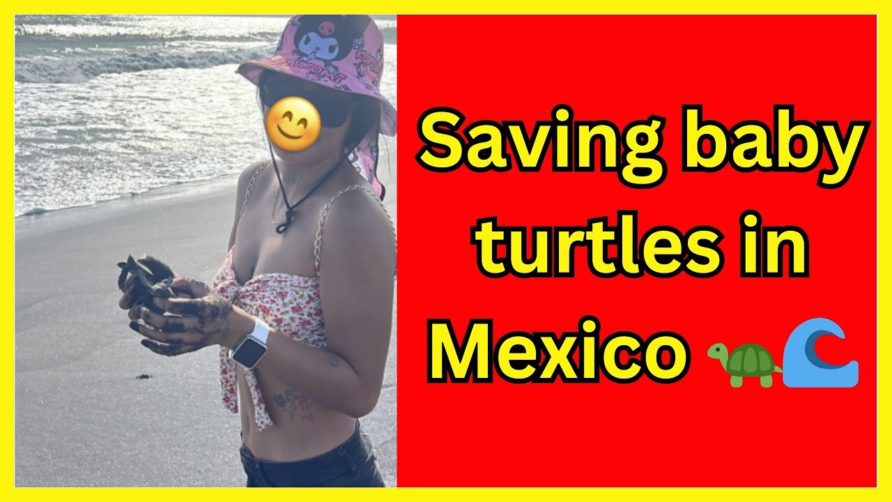 Saving baby sea turtles on a secluded beach in Mexico 🐢🌊🏝️