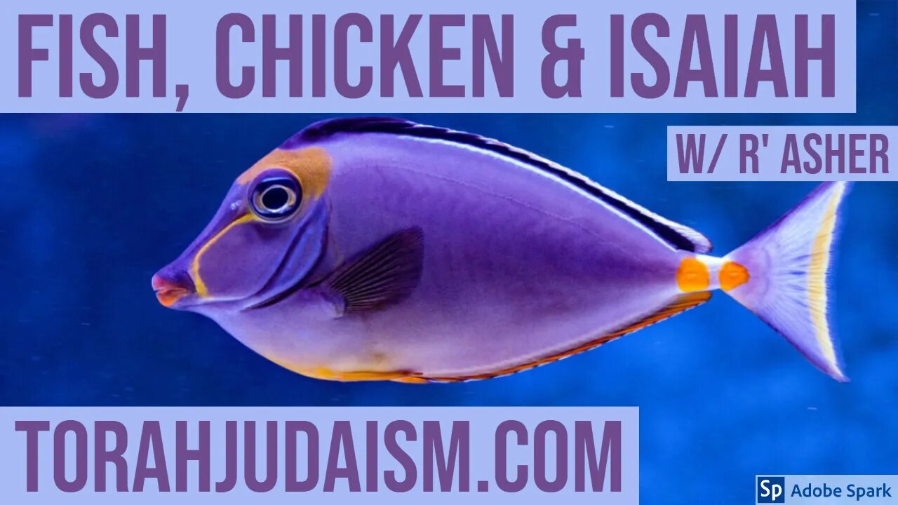 Fish, Chicken and Isaiah