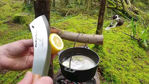 Lemon Crunchy Chicken coocked in the middle of forest