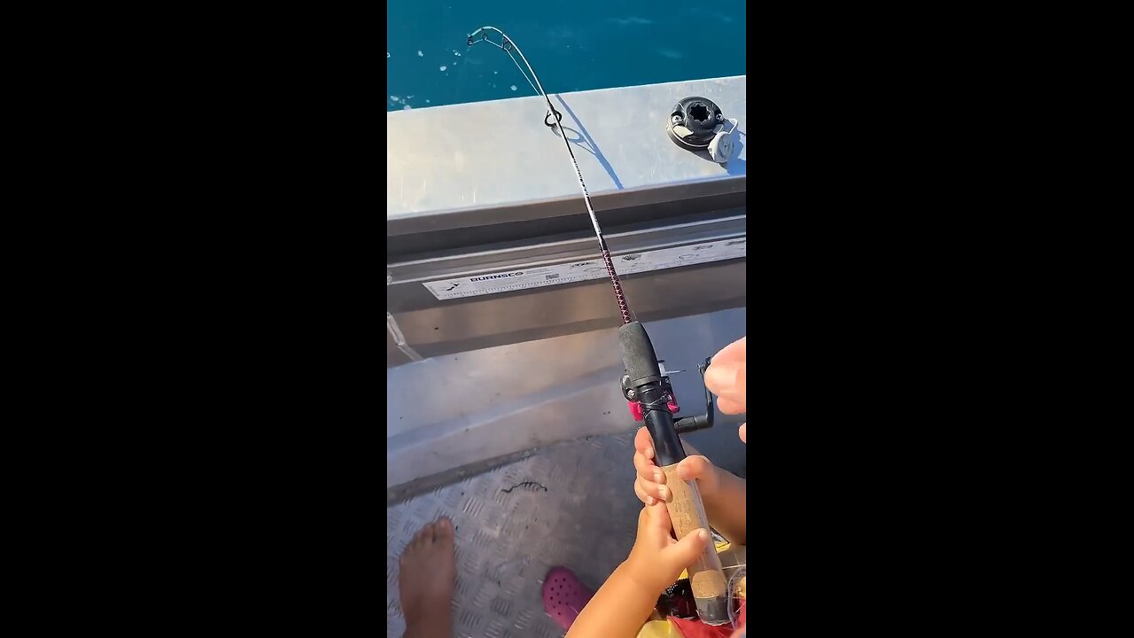 My 3 year old catches a snapper ❤️