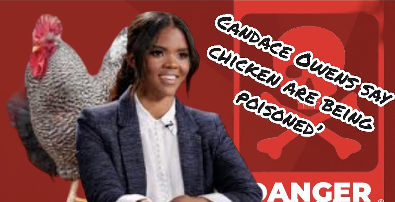 Candace Owens Investigating the Allegations that chicken feed is being poisoned?!