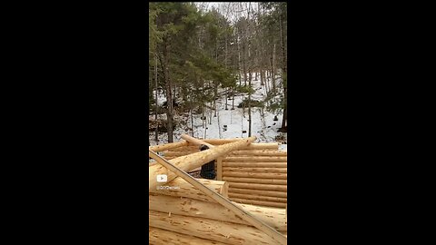 Ridgepole Placed! #logcabin #logcabinbuild #off-grid