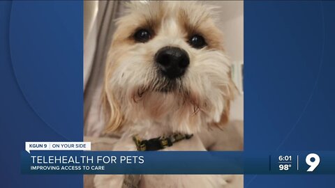 Let your vet see your pet through a smartphone