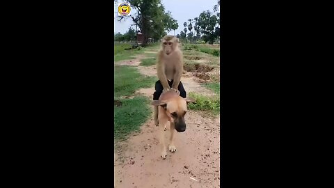 OMG😱hahahaha😂😂😂😂😂 Friendship🥰♥️🔥
