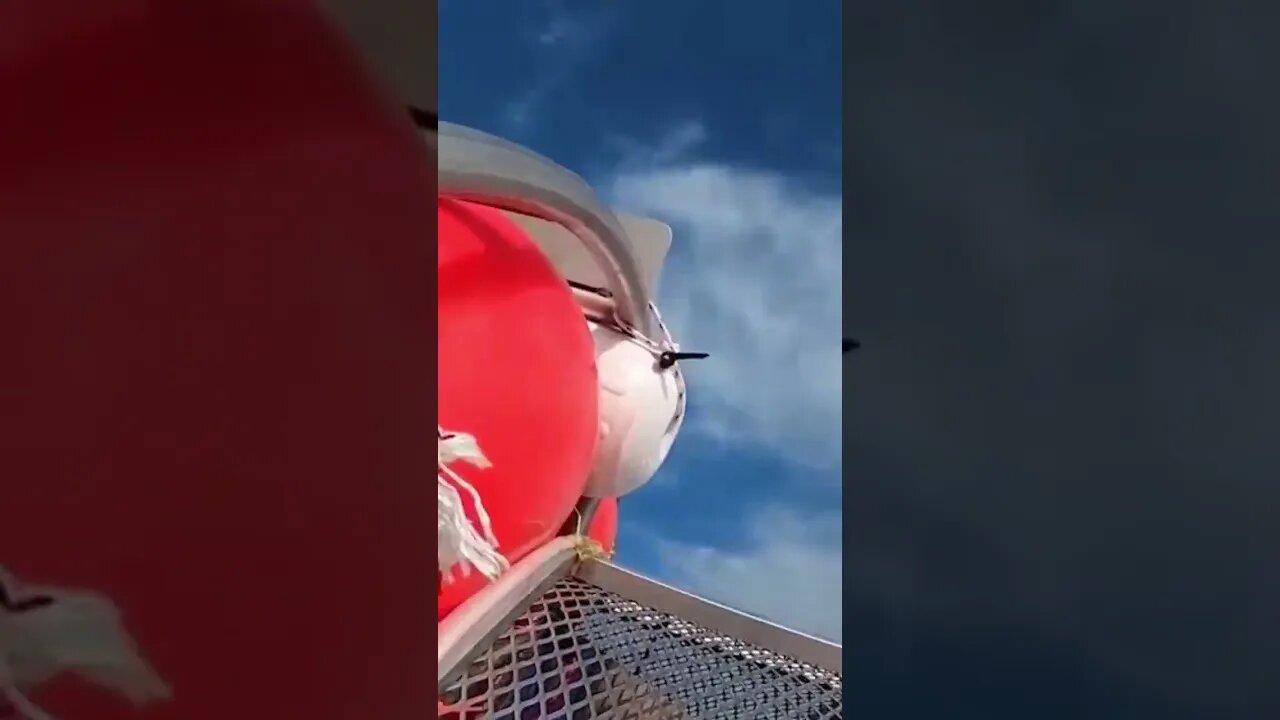 Watch Florida man Arrested for Trying To cross The Atlantic in Hamster Ball #shorts