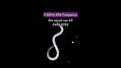 Royal Rife discovered that this frequency could destroy parasites on a cellular level.