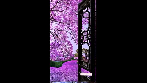 flowers🌸🌸🌸