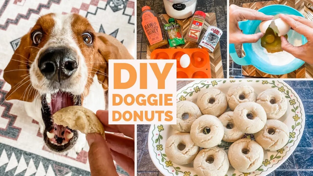 Homemade Apple Cinnamon Doggie Donuts