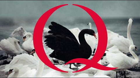 VladTalks | Black Swan | 184 [Explicit Version]