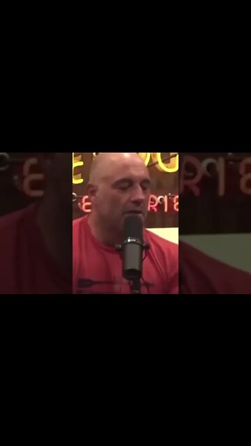 Joe Rogan Is Right About Brittney Griner