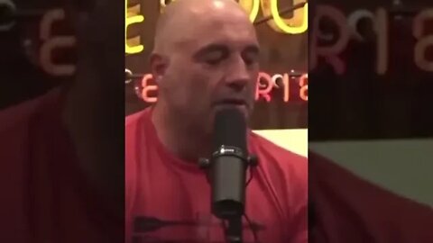 Joe Rogan Is Right About Brittney Griner