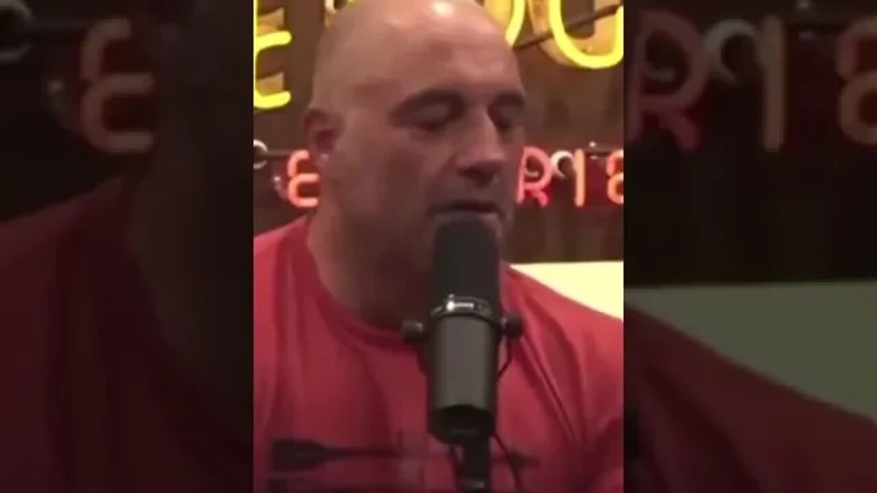 Joe Rogan Is Right About Brittney Griner