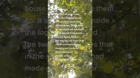 Under Two Huge Oak Trees