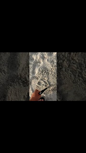 platinum found #shorts