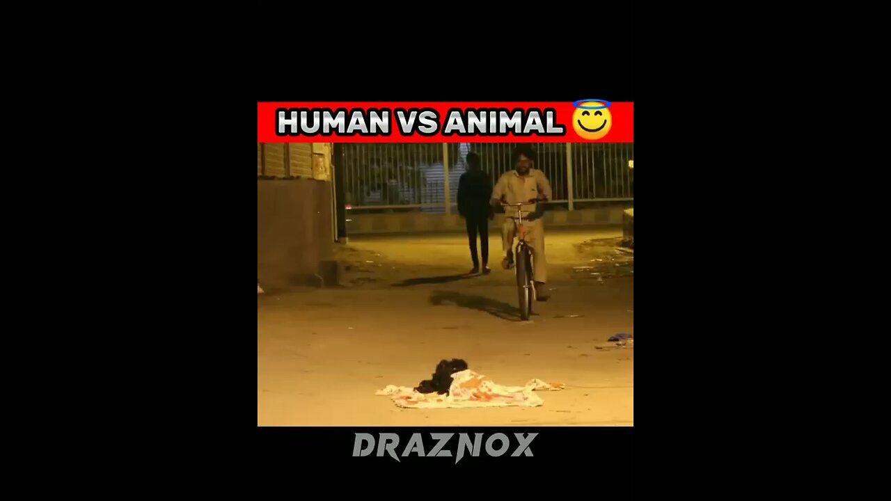 Human vs animals