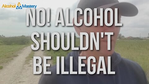 No! Alcohol Should Not Be Illegal And Why You Should Not Want It To Be