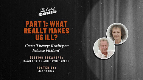 What Really Makes Us Ill?, Part 1