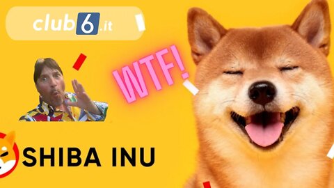 SHIBA INU 48% WHAT THE FU...... INCREDIBILE SHIBA COSA VI AVEVO DETTO ? Morris crypto