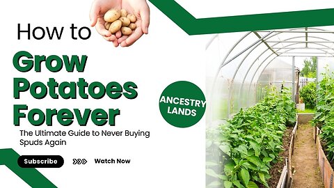 Grow Your Own Potatoes_ A Spud-tacular Garden